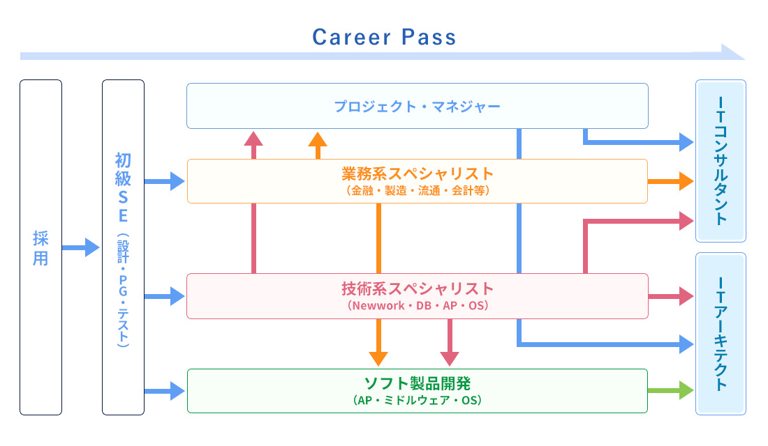 キャリアパス